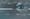 Car is driving fast with spray on a flooded road after a downpour. Aerial top view from flying drone.